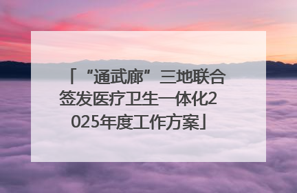 “通武廊”三地联合签发医疗卫生一体化2025年度工作方案