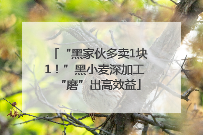 “黑家伙多卖1块1！”黑小麦深加工“磨”出高效益