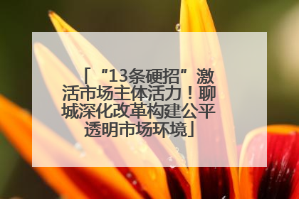 “13条硬招”激活市场主体活力！聊城深化改革构建公平透明市场环境