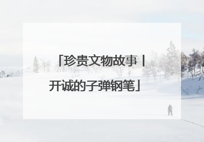 珍贵文物故事丨开诚的子弹钢笔