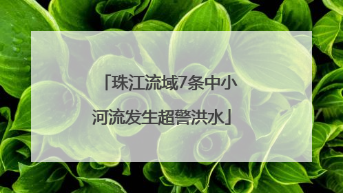珠江流域7条中小河流发生超警洪水