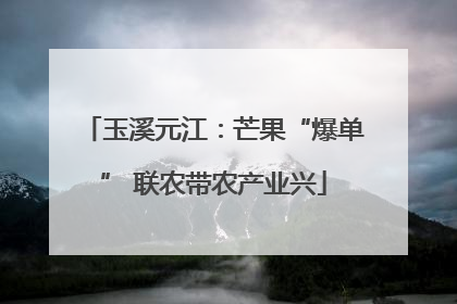 玉溪元江：芒果“爆单” 联农带农产业兴
