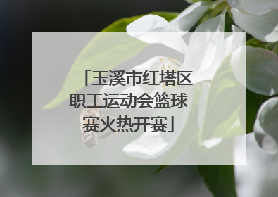 玉溪市红塔区职工运动会篮球赛火热开赛