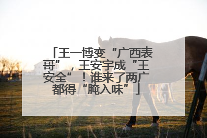 王一博变“广西表哥”，王安宇成“王安全”！谁来了两广都得“腌入味”