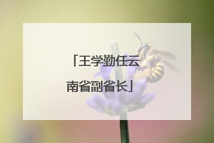 王学勤任云南省副省长