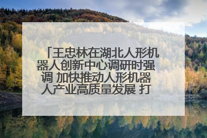 王忠林在湖北人形机器人创新中心调研时强调 加快推动人形机器人产业高质量发展 打造具有全国影响力的研发创新基地