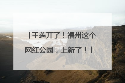 王莲开了！福州这个网红公园，上新了！