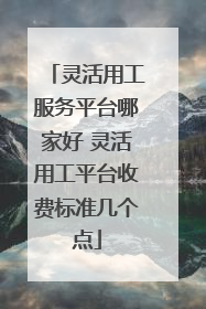 灵活用工服务平台哪家好 灵活用工平台收费标准几个点