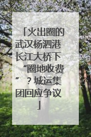 火出圈的武汉杨泗港长江大桥下“圈地收费”？城运集团回应争议