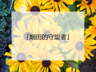 烟田的守望者