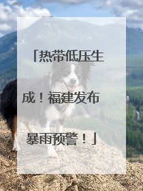 热带低压生成！福建发布暴雨预警！