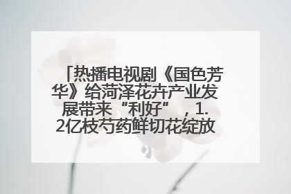热播电视剧《国色芳华》给菏泽花卉产业发展带来“利好”，1.2亿枝芍药鲜切花绽放“国色芳华”