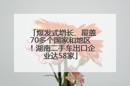 爆发式增长、覆盖70多个国家和地区！湖南二手车出口企业达58家