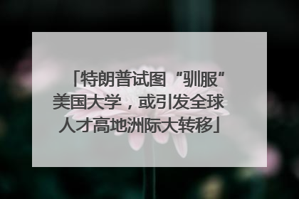 特朗普试图“驯服”美国大学，或引发全球人才高地洲际大转移