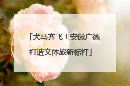 犬马齐飞！安徽广德打造文体旅新标杆