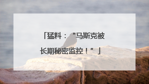 猛料:“马斯克被长期秘密监控!”