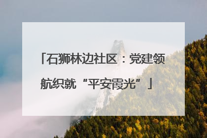 石狮林边社区：党建领航织就“平安霞光”
