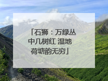 石狮：万绿丛中几树红 湿地荷塘韵无穷