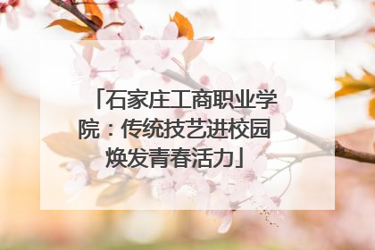 石家庄工商职业学院：传统技艺进校园焕发青春活力