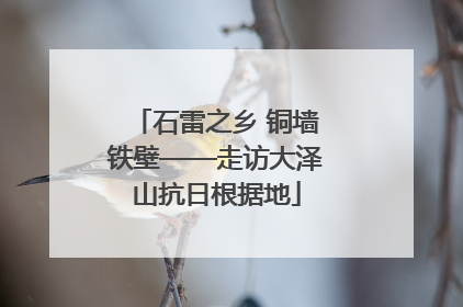 石雷之乡 铜墙铁壁——走访大泽山抗日根据地