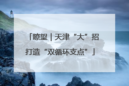 瞭望｜天津“大”招打造“双循环支点”