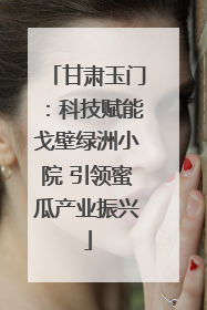 甘肃玉门：科技赋能戈壁绿洲小院 引领蜜瓜产业振兴