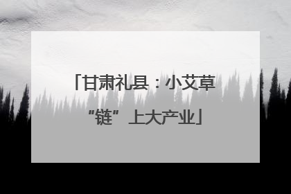甘肃礼县：小艾草“链”上大产业