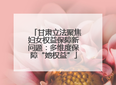 甘肃立法聚焦妇女权益保障新问题：多维度保障“她权益”