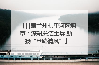 甘肃兰州七里河区烟草：深耕廉洁土壤 劲扬“丝路清风”
