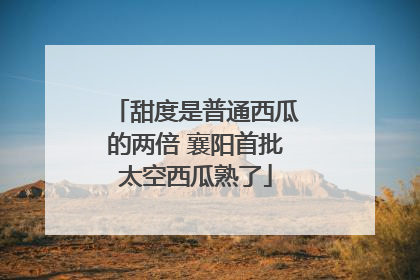 甜度是普通西瓜的两倍 襄阳首批太空西瓜熟了