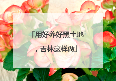 用好养好黑土地，吉林这样做