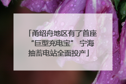 甬绍舟地区有了首座“巨型充电宝” 宁海抽蓄电站全面投产
