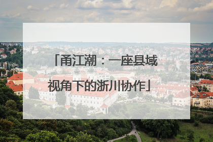 甬江潮：一座县域视角下的浙川协作