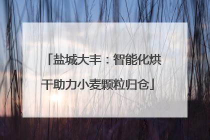盐城大丰：智能化烘干助力小麦颗粒归仓