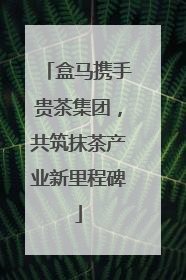 盒马携手贵茶集团，共筑抹茶产业新里程碑
