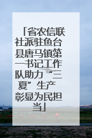 省农信联社派驻鱼台县唐马镇第一书记工作队助力“三夏”生产 彰显为民担当