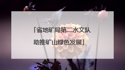 省地矿局第二水文队助推矿山绿色发展