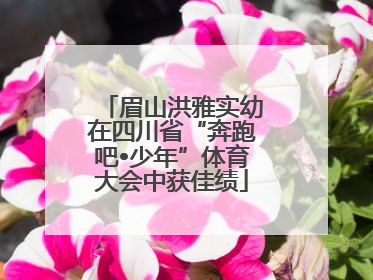 眉山洪雅实幼在四川省“奔跑吧•少年”体育大会中获佳绩
