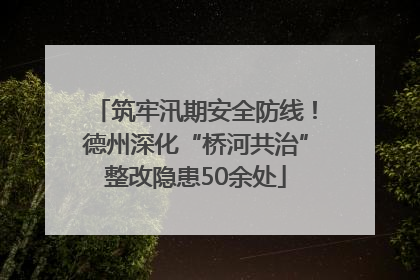 筑牢汛期安全防线！德州深化“桥河共治”整改隐患50余处