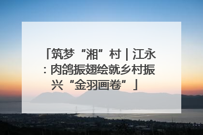 筑梦“湘”村｜江永：肉鸽振翅绘就乡村振兴“金羽画卷”