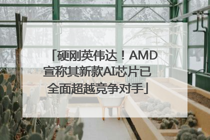 硬刚英伟达！AMD宣称其新款AI芯片已全面超越竞争对手
