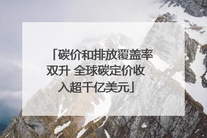碳价和排放覆盖率双升 全球碳定价收入超千亿美元
