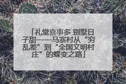 礼堂喜事多 别墅日子甜——马寨村从“穷乱差”到“全国文明村庄”的蝶变之路