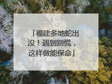 福建多地蛇出没！遇到别慌，这样做能保命