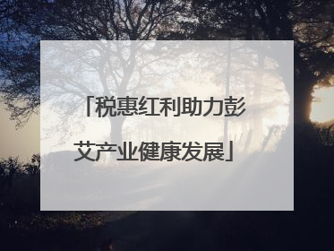 税惠红利助力彭艾产业健康发展