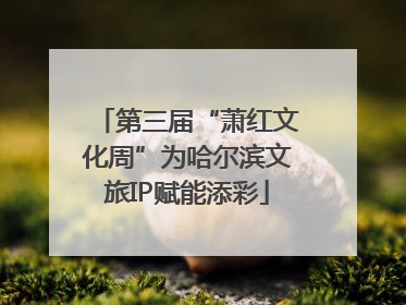 第三届“萧红文化周”为哈尔滨文旅IP赋能添彩