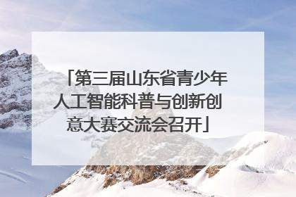 第三届山东省青少年人工智能科普与创新创意大赛交流会召开