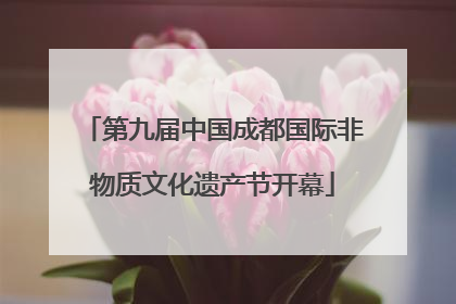 第九届中国成都国际非物质文化遗产节开幕