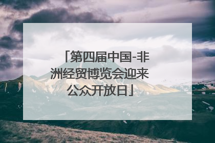 第四届中国-非洲经贸博览会迎来公众开放日