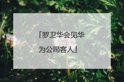 罗卫华会见华为公司客人